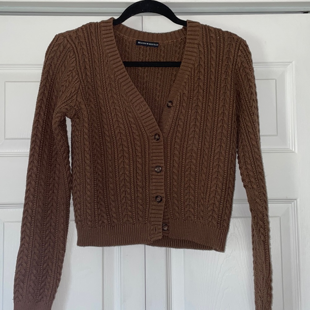 Brown Brandy Melville Sweater